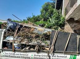 Best Moving and Downsizing Cleanouts  in University, MS